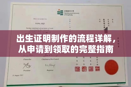 阳西出生证明制作的流程详解，从申请到领取的完整指南